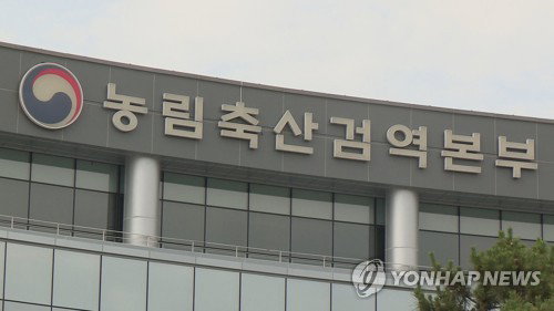 검역본부 '벽 허문' BL3 시설…ASF 백신 수출 청신호