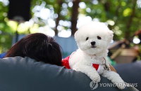 '동물복지 국정과제 2년차' 농식품부, 국민과 '새 정책' 만든다