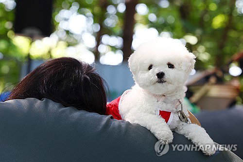'동물복지 국정과제 2년차' 농식품부, 국민과 '새 정책' 만든다