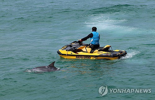 10개월 외로웠던 '안목이', 정부 드디어 구조한다