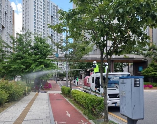 송파구, 러브버그 '물폭탄' 응징... 3개 부서 총력 비상