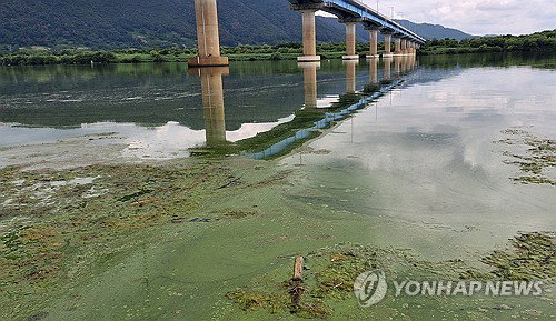'수돗물 녹조 비상' 창원, 강기윤 새 시장에 '결단' 요구 왜?