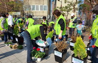 담배꽁초 투기 50곳, 꽃밭으로… BAT로스만스 '반전'