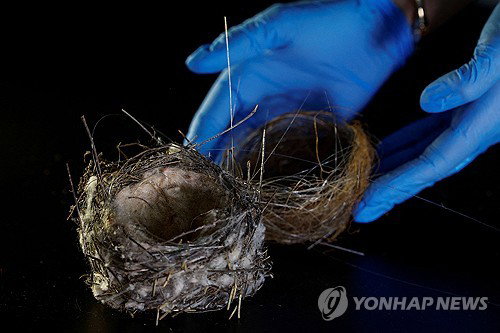 1200km 전선 '드론 케이블 둥지'…전쟁 속 생존 역설