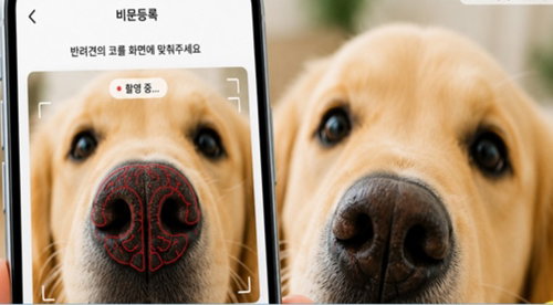 잃어버릴 걱정 끝! 인천, 반려견 코무늬 등록 8월부터 무료 시행