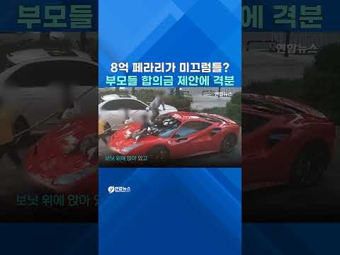 8억 페라리 '놀이터' 만든 아이들…수리비 672만원 vs 114만원 '극과 극'