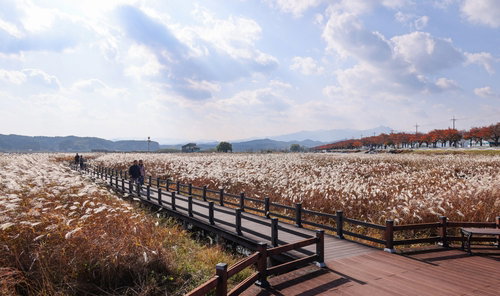 양양군, 140m 데크 보수 돌입! 여름 안전 '확보'