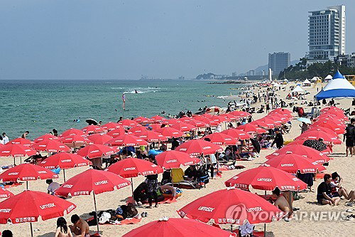 동해안 10만 인파 '풍덩'…34도 폭염 속 '상어 비상'