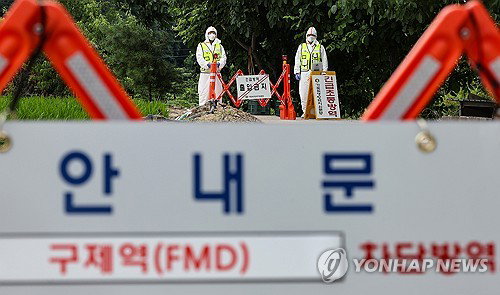 경북 11년 만 구제역 비상…83만 마리 '초긴장'