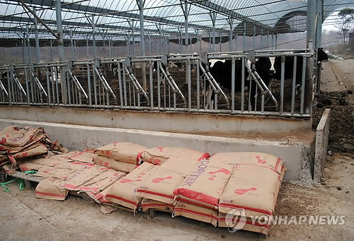 전분당 빅4 1.2조 과징금 또 맞나…'입찰·부산물' 담합 심판대