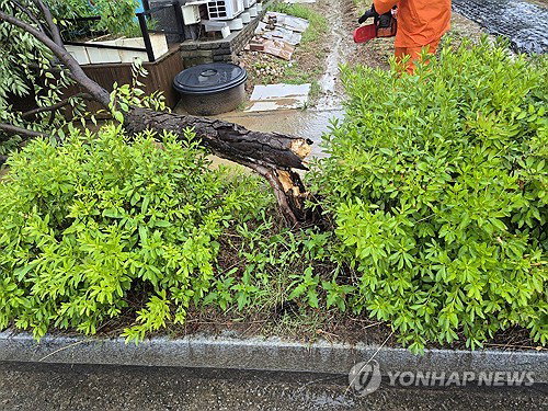 전북 강타한 새벽 폭우…임실 시간당 69.5㎜, 추가 200㎜ 비상