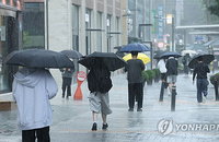 무알코올 와인 493%↑…2026 장마, '막걸리 공식' 깼다