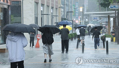 무알코올 와인 493%↑…2026 장마, '막걸리 공식' 깼다