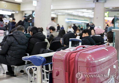 제주 81편 결항, 신호등 추락...초속 20m 강풍 비상