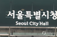 '최대 300만원' 파격 지원…서울시, 모아주택 속도전 나선다