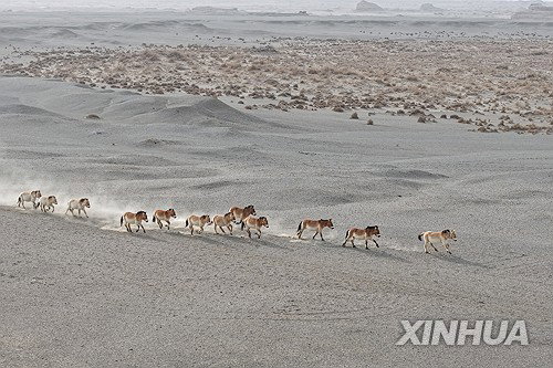 중국, '자연자원 자산' 선언…국토 전체 '부동산' 관리 혁명 예고