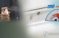 강화군 말라리아 경보…'환자 ↓'에도 모기 폭증 비상