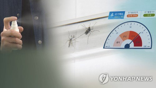강화군 말라리아 경보…'환자 ↓'에도 모기 폭증 비상