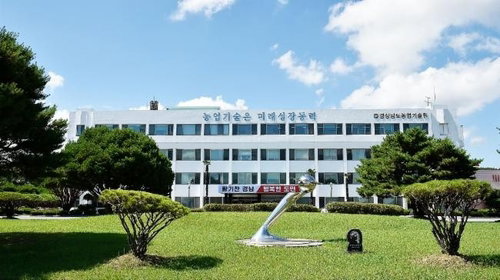 '4190ha 논 초토화' 악몽 재현? 남해안 벼멸구 '빨간불'