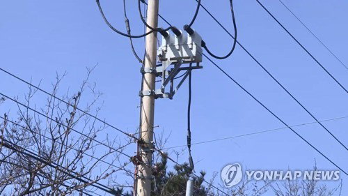 새벽 잠 깨운 소나무 쓰러짐…청주 50가구 '두 시간 암흑'