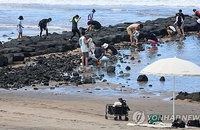 제주, '이례적' 폭염 비상 1단계…'기후보험' 첫 발