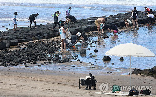 제주, '이례적' 폭염 비상 1단계…'기후보험' 첫 발