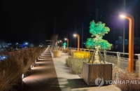 40년 폐철교의 마법…12억 들여 '정원'된 동해