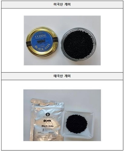 '미슐랭 2스타' 개미 요리 논란…대표에 '징역 1년' 구형