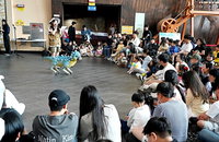 해남공룡박물관, 25일 '무료 물놀이' 개방…10종 체험 원스톱