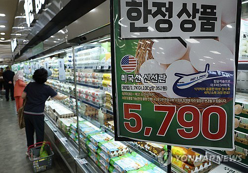 달걀값 10% 비상에도… 산란계 1.6% 증가, 물가 안정 '희망'