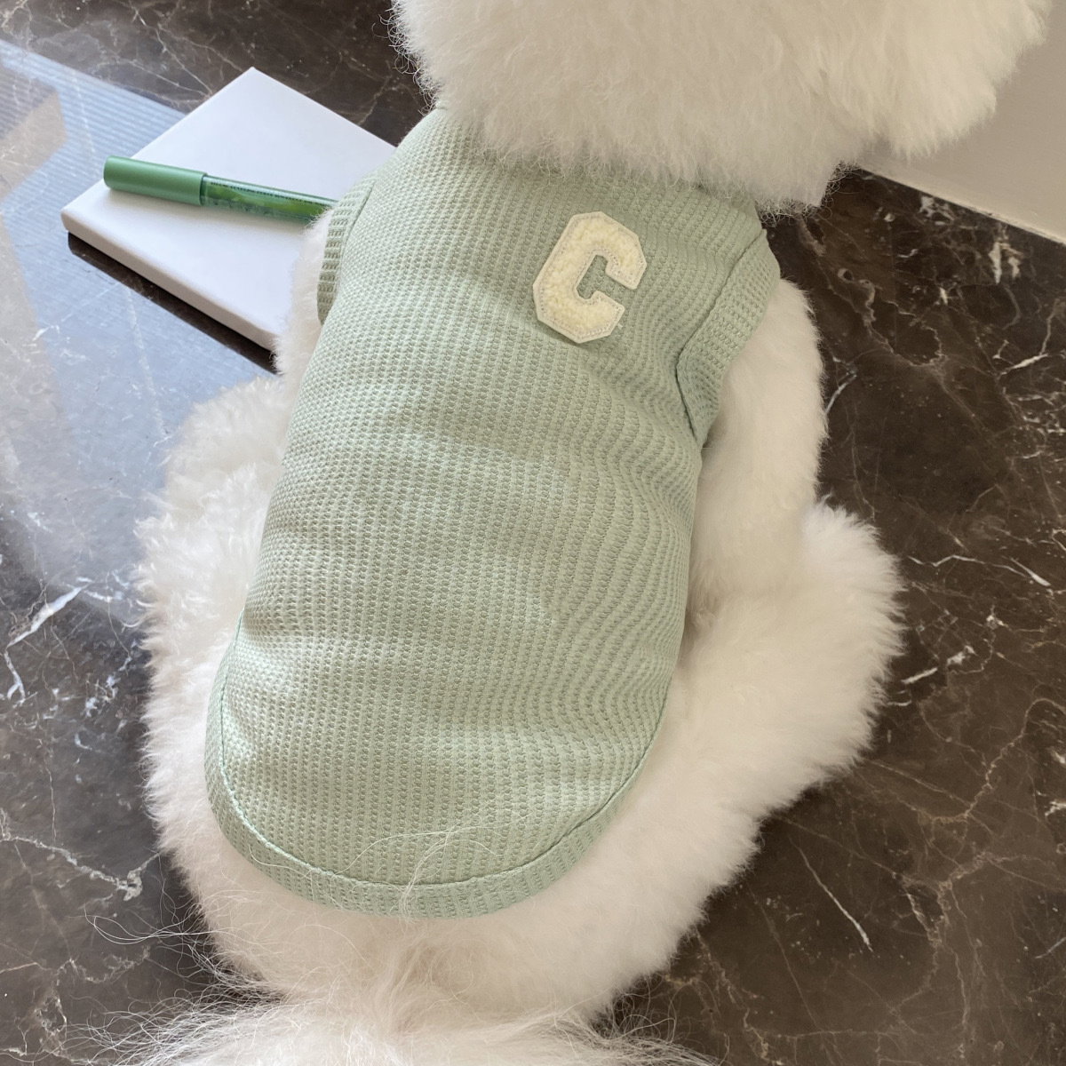 반려동물 데일리 티셔츠, 그린, 1개
