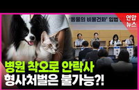 '생명 앗아가도 '물건값'만?'…법무부, 반려동물 법적 지위 격상 시동
