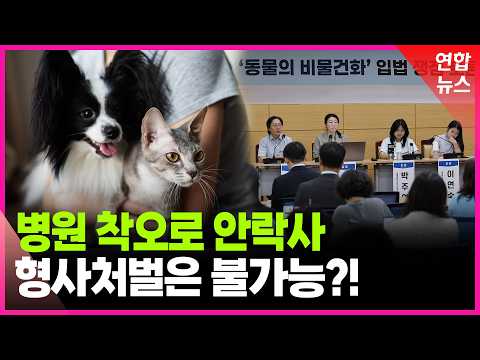 '생명 앗아가도 '물건값'만?'…법무부, 반려동물 법적 지위 격상 시동