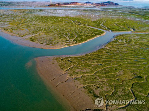 유네스코 '한국 갯벌' 확대 등재…황해, '초국경 보전' 첫발 뗐다