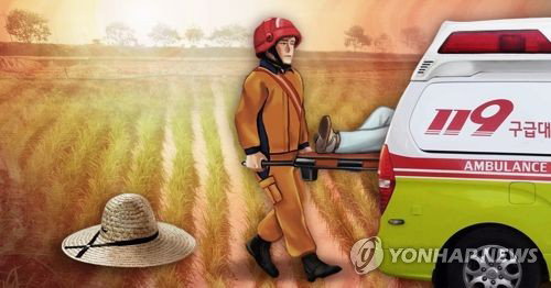 '42.2도' 폭염에 쓰러진 100세 노인…완주 밭 비극