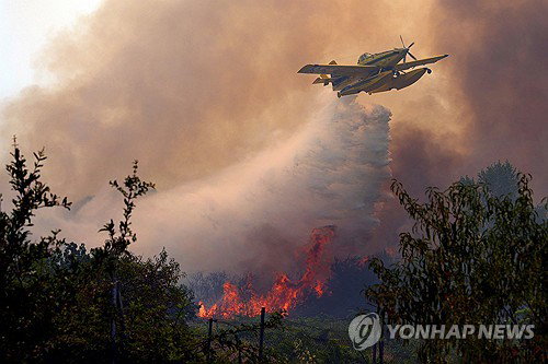 유럽 산불 비상, 보르도 와인 산지까지 위협...30만명 대피
