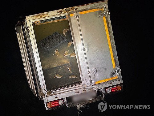 Truck Evading Coast Guard Enforcement Plunges into Gunsan Sea with 'Splash'