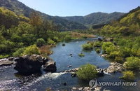 오늘 낮 순창 섬진강서 80대 여성 숨진 채 발견…경찰, '타살 혐의 없음'