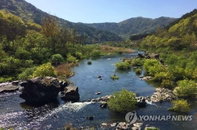 오늘 낮 순창 섬진강서 80대 여성 숨진 채 발견…경찰, '타살 혐의 없음'