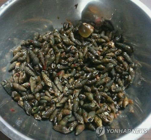 경주 하천, 70대 여성 다슬기 잡다 익사