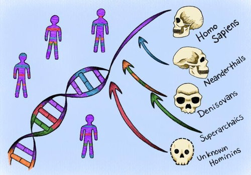 현대인 DNA 1% 충격…미지의 고인류 흔적 발견