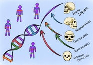 현대인 DNA 1% 충격…미지의 고인류 흔적 발견