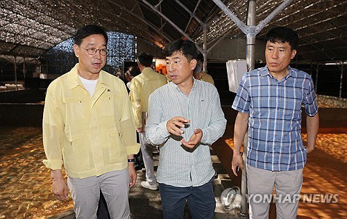 제주 넙치 3만 마리 '떼죽음'…위성곤 '염지하수' 검토
