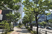 끓는 전북 35도 넘자 인적 끊긴 도심… '유령 도시' 충격