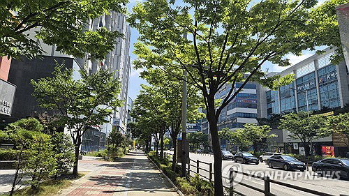 끓는 전북 35도 넘자 인적 끊긴 도심… '유령 도시' 충격