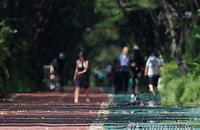 서울 전역 '폭염경보' 덮쳤다…열흘째 열대야, 사망 2명 비상