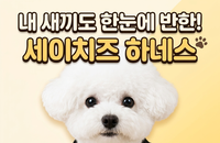 2026 강아지 하네스 추천: 가성비 좋은 제품 고르는 팁