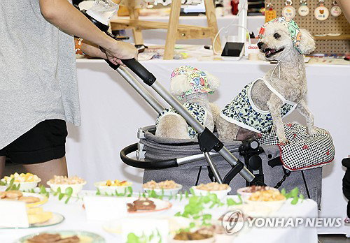펫 건강관리, 관절·눈 넘어 'AI 예측'…초맞춤 시대 열렸다