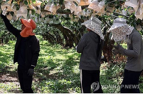 충북 폭염 피해 확산…올여름 첫 온열질환 사망자 발생