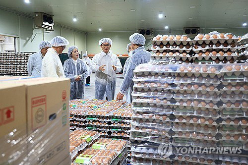 차관, 폭염 최전선 뛰어들다… 산란계 200호 '생존 지원' 쏜다